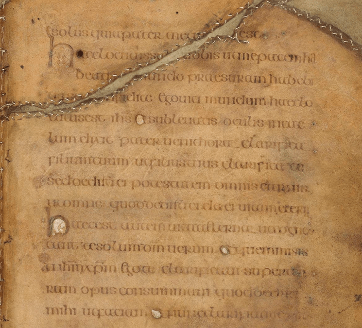 The Book of Kells (c. 800 AD) - Original Facsimile - historical original Ebooks